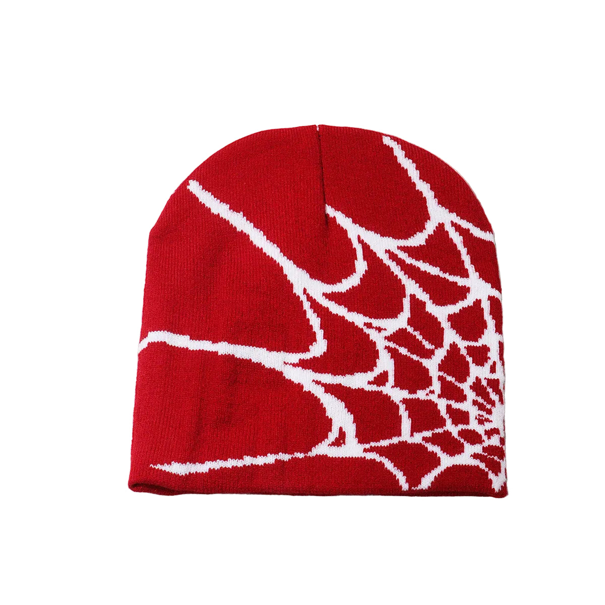 Nocturne Web Beanie